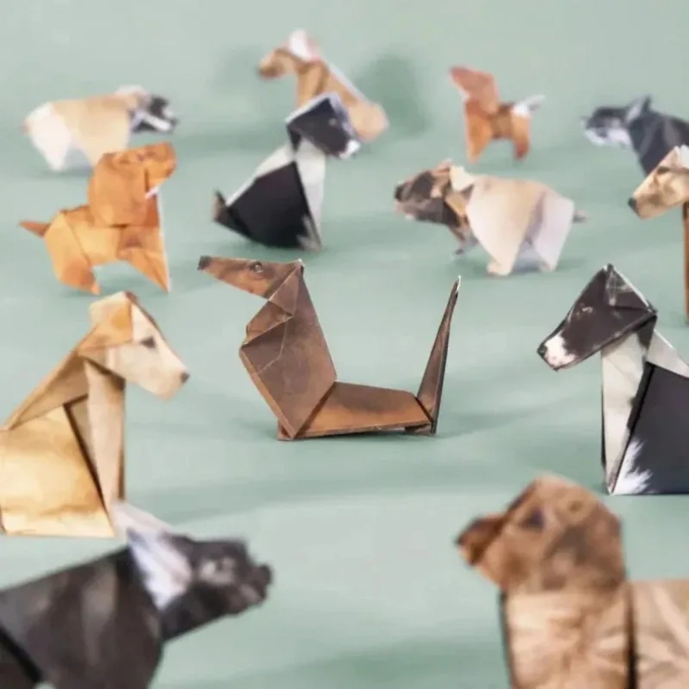 2026 Creative DIY Paper Cats 5 - огляд і ціна Art Craft Cat